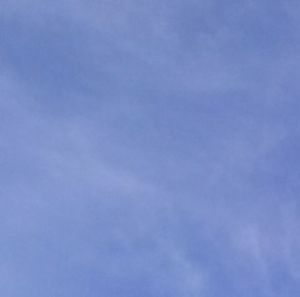 Meet your Posher, Angelina